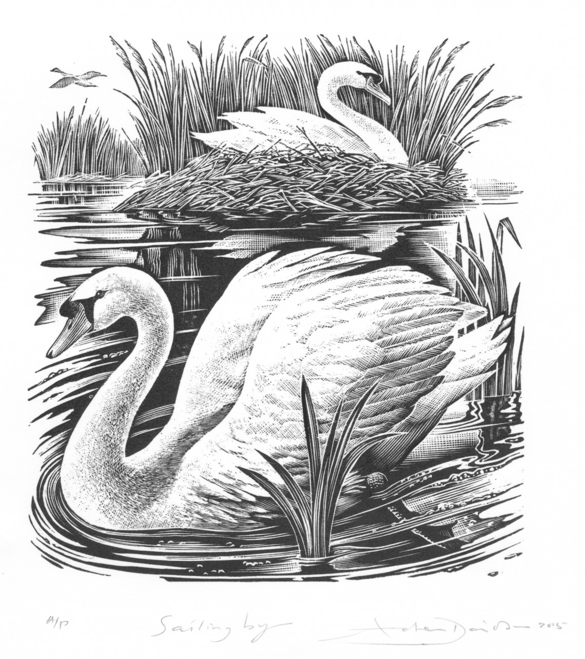 1-Sailing By-woodcut-illustration-for-Swans-Nest-Cottage-Milne-Graden-by-illustrator-Andrew-Davidson