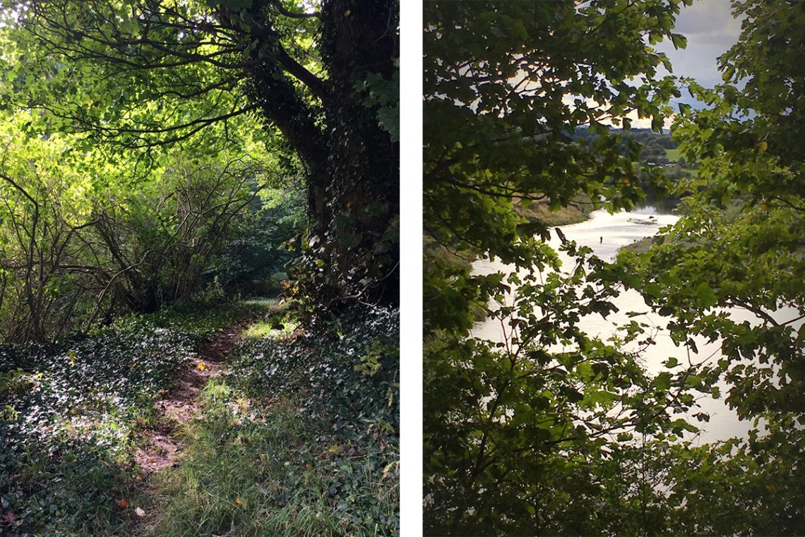 Sun-shining-through-leaves-onto-river-walk-path-river-view-fisherman