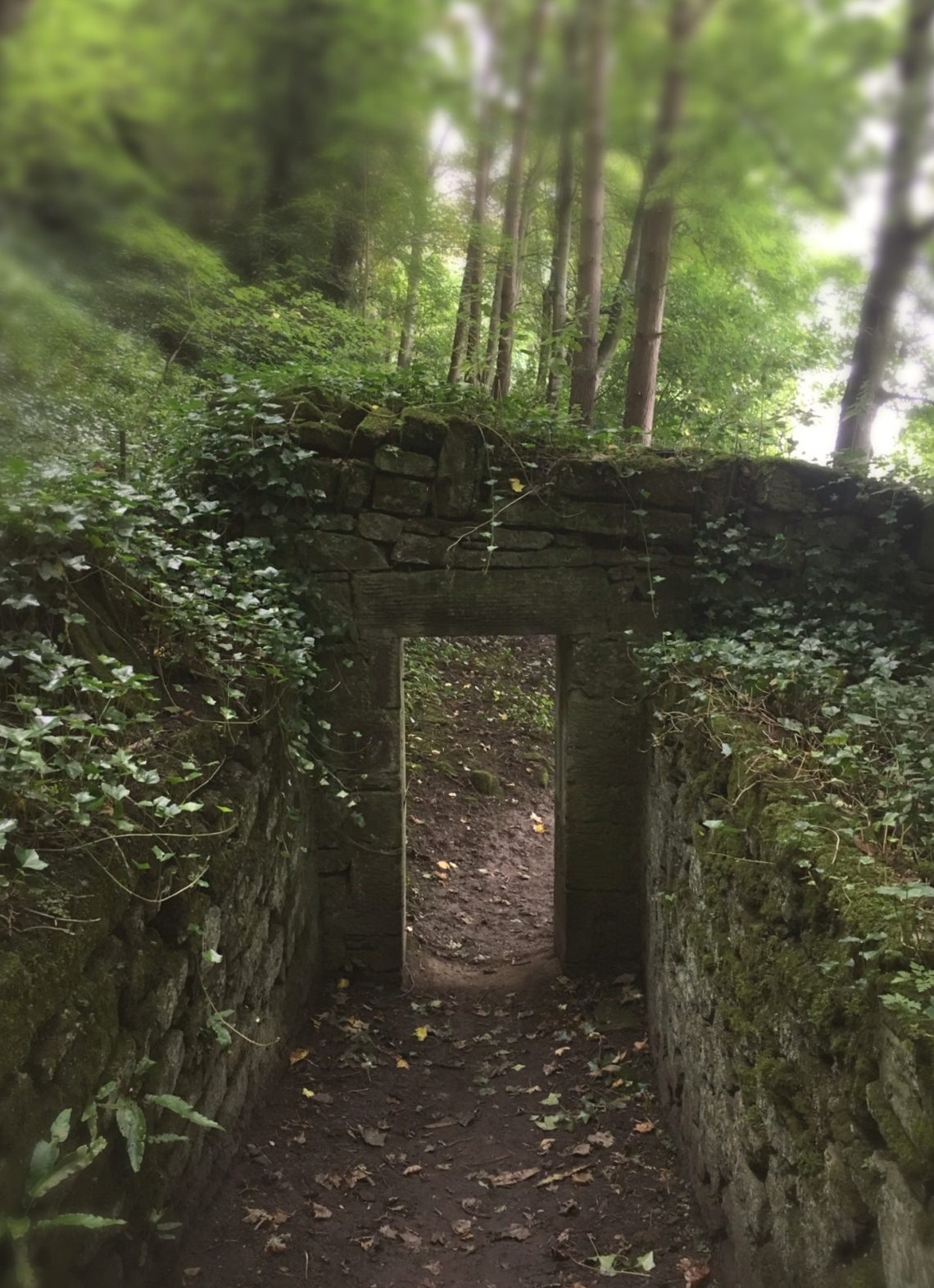 abandoned-door-river-walk-milne-graden-scottish-borders