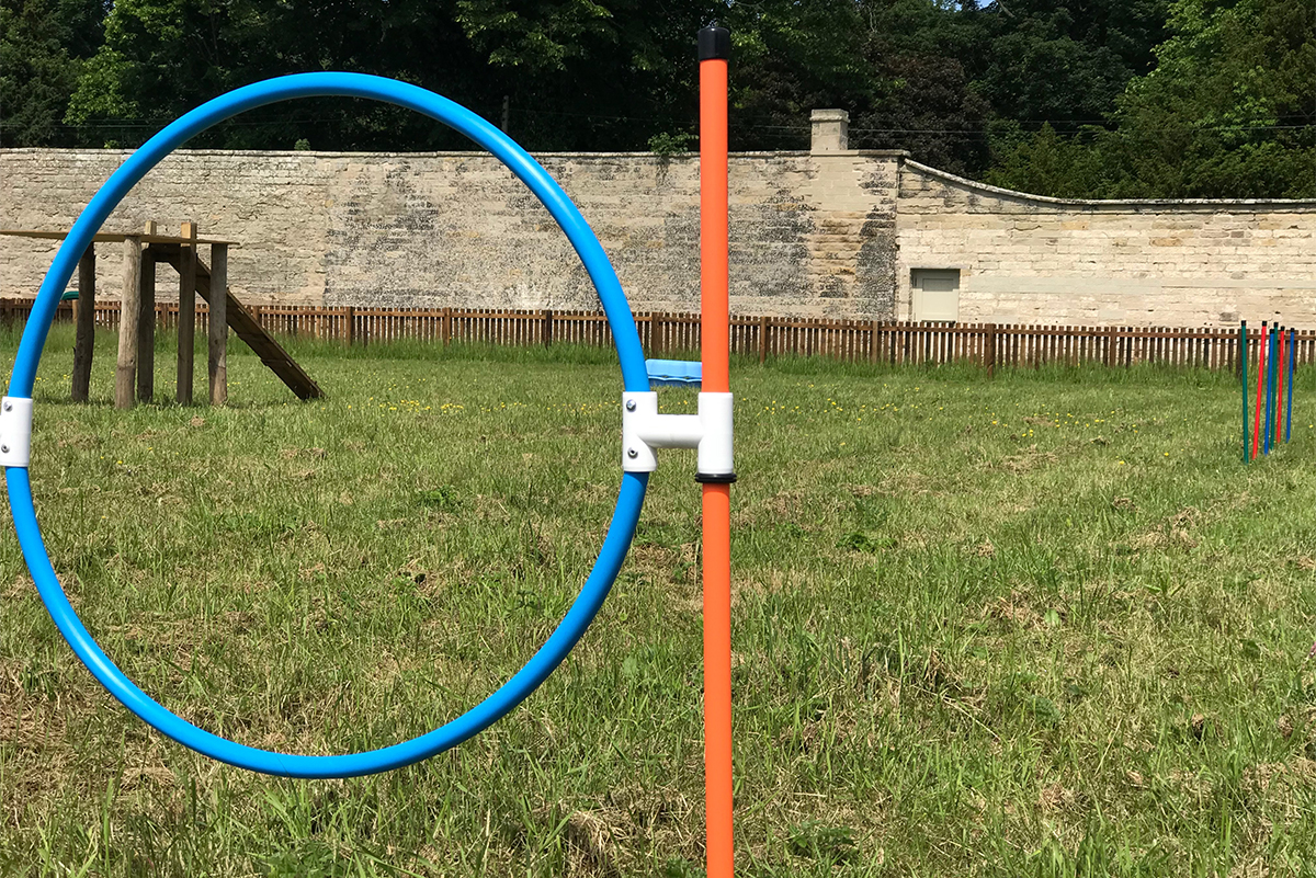 view_dog_park_through_dog_jump_hoop