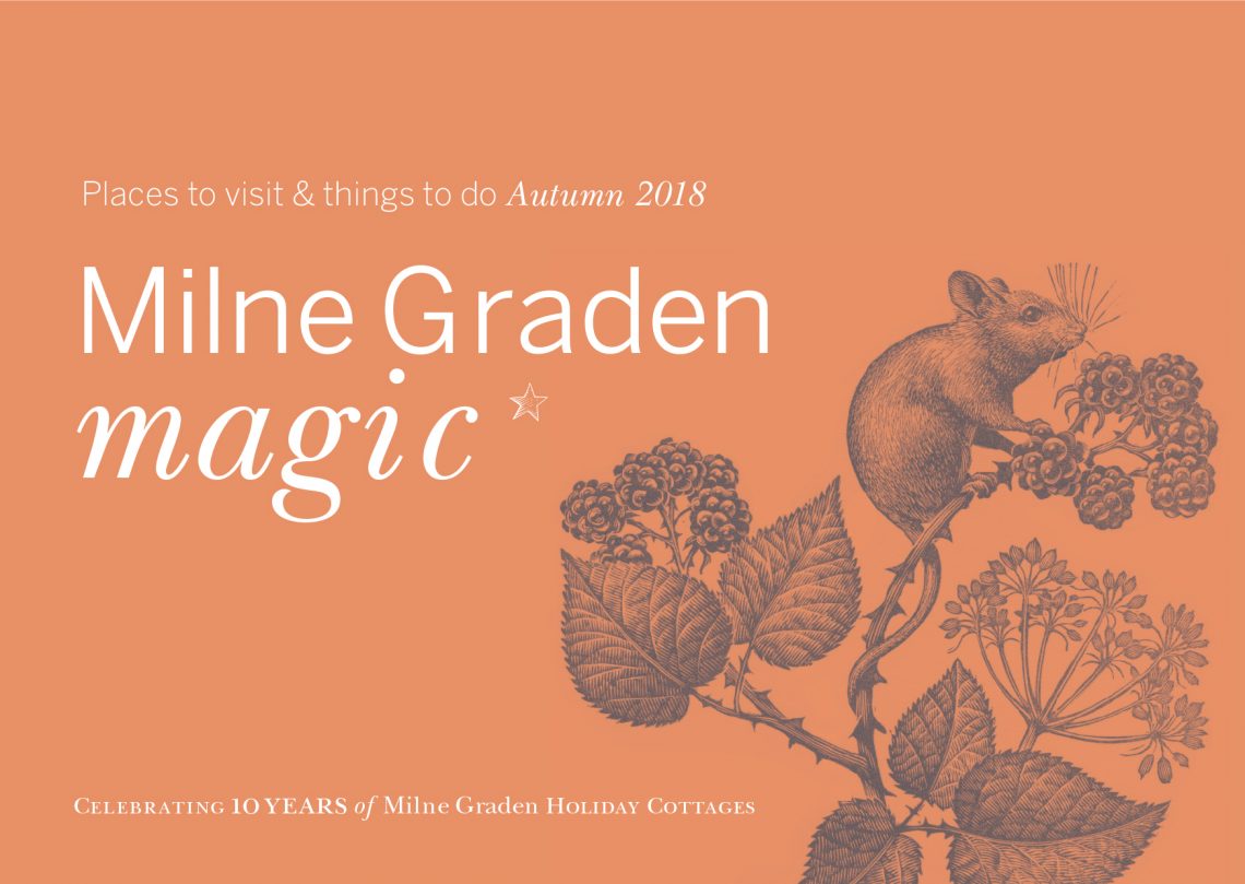 Milne Graden top-tips for Autumn 2018