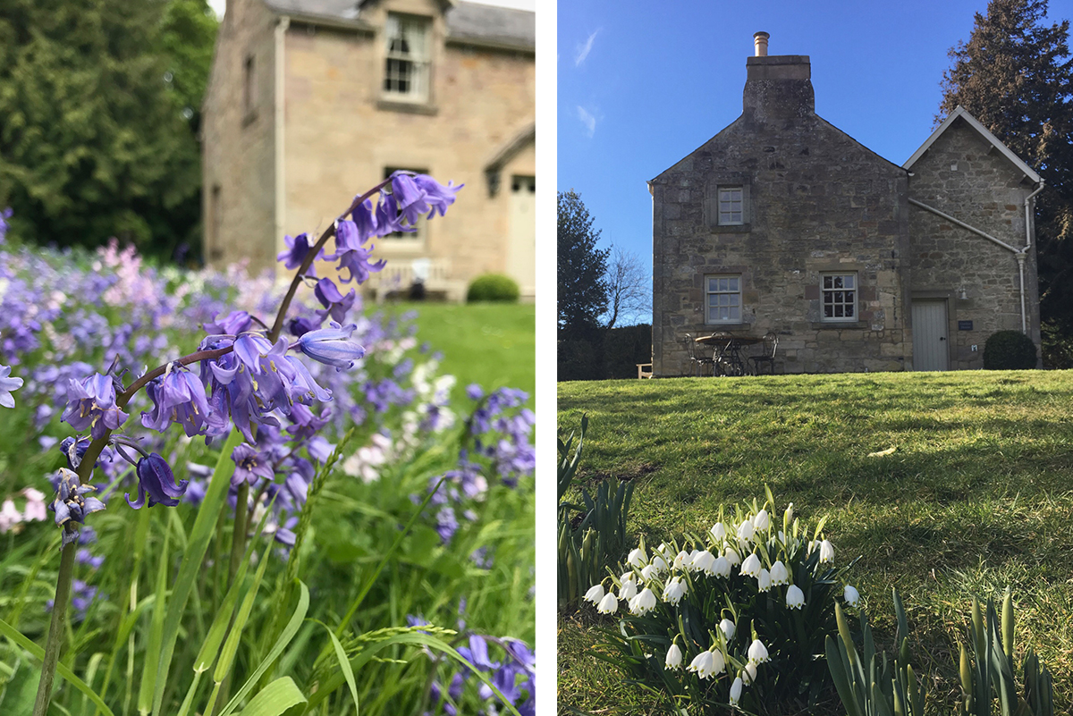 Milne-Graden-Garden-House-Holiday-Cottage-Exterior-Bluebells -snowdrops