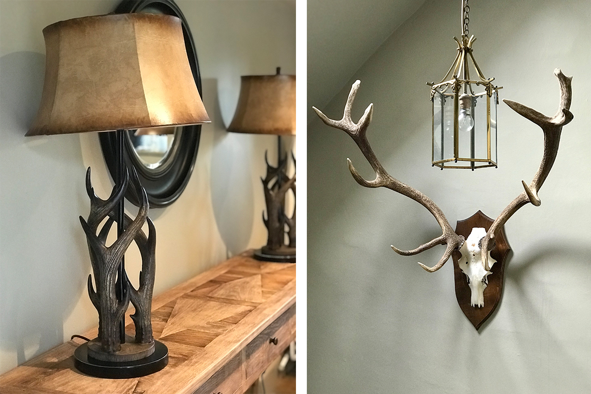 Milne-Graden-School-House-Holiday-Cottage-Antlers-lamps-mounted-stags-antlers