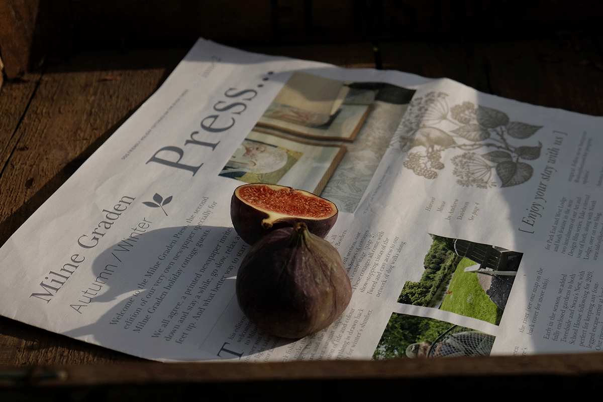 Milne-Graden-Press-Autumn-Winter-newspaper-cover-with-autumn-figs