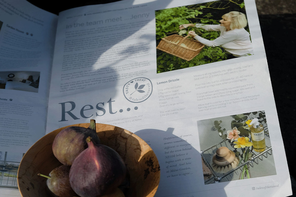 Milne-Graden-Press-Autumn-Winter-Rest-newspaper-section-with-autumn-figs