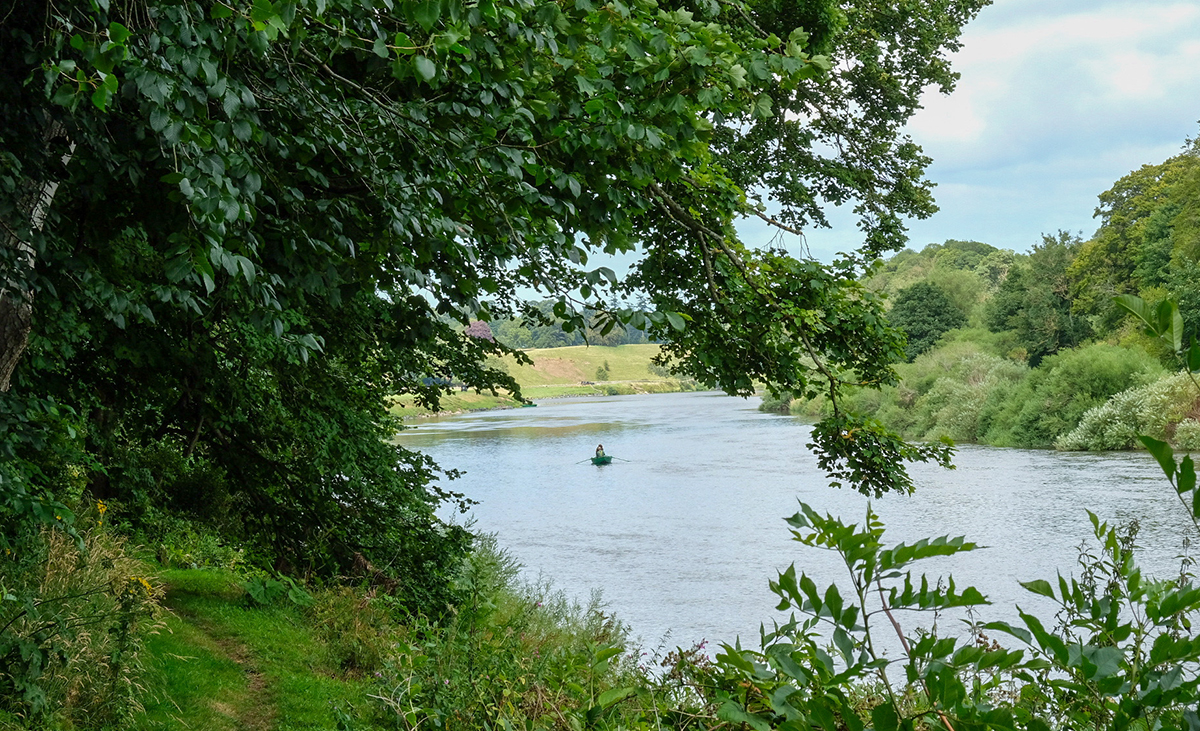 Milne-Graden-Looking-through-trees- at-Fishing-Boat-River-Tweed