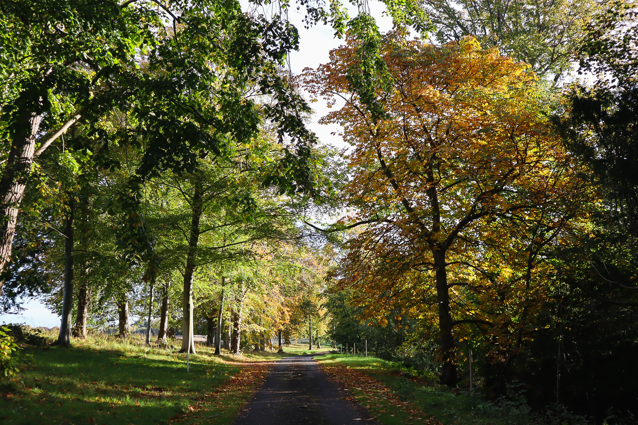 Milne Graden Estate in Autumn